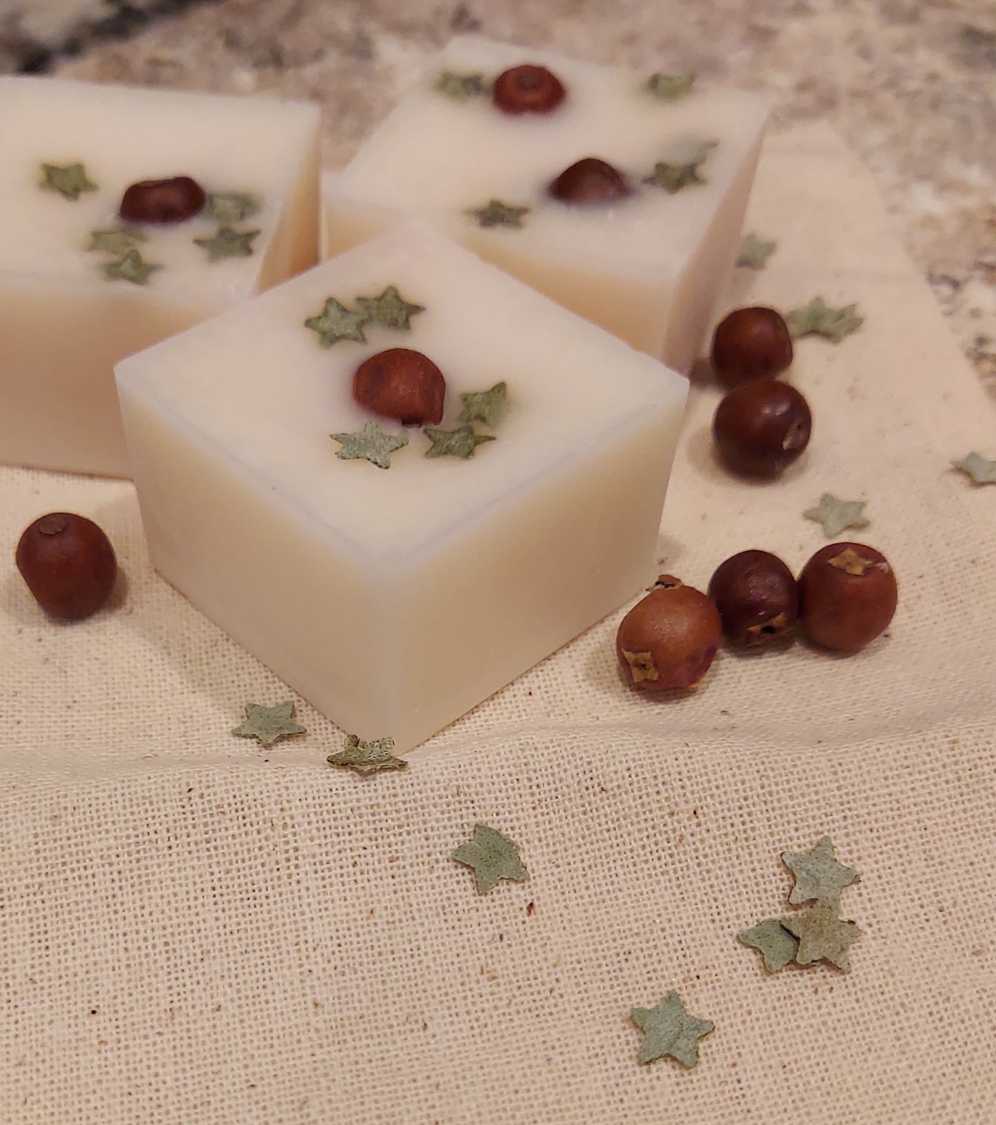 Seasonal Botanical Wax Melts